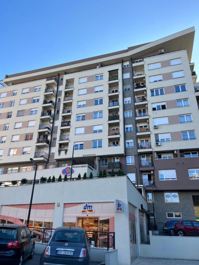 Paunov Breg Apartment Belgrade Exterior photo